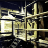 High purity softwood cellulose - Image 14